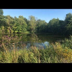 Meet your Posher, Brook